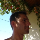 Bilbil