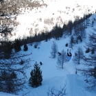 FreeSkiAlex