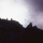 Forest_France