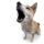 lechienaboie