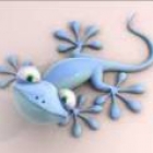gecko90
