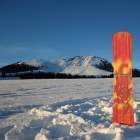 Nieve