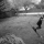 Shredboys7laux Shredboys7laux