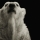 actarus_79