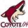 coyote04