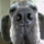 snow_badger snow_badger