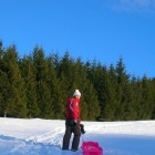 Bulle