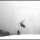 flyingcircus