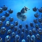 AgedeGlace