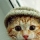 PetitChat