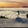 Freestyleuse.74 Freestyleuse.74