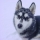 Drarik Drarik