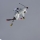 La_Clusaz La_Clusaz