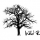 WILDRUSH