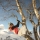 laety2alpes