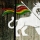 Faya_Tom