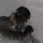 arnaud_granvalira