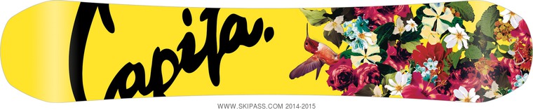 Capita Birds of a Feather base 140