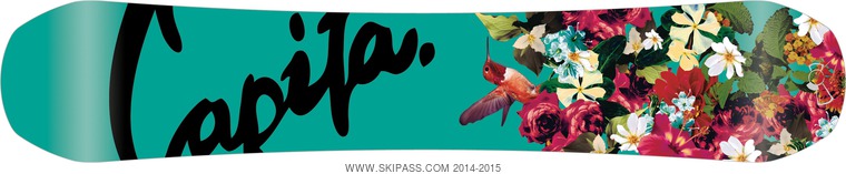 Capita Birds of a Feather 142 base