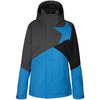 chestnut - dodgerblue