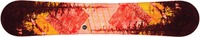 Roxy Torah Bright XC2-BTX