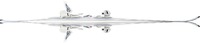 Blizzard Viva S5