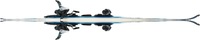 Blizzard Viva X8
