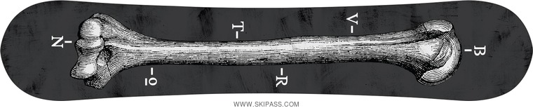 Burton Antler