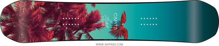 Capita Birds of a feather 146