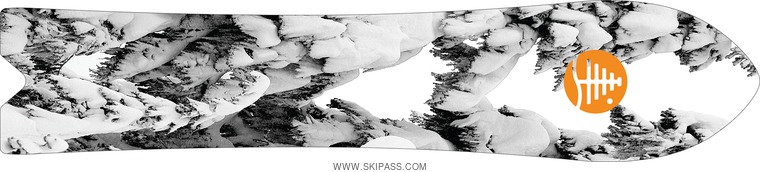 Burton Skipjack Surf
