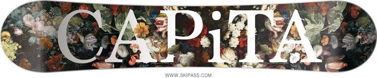 Capita PARADISE
