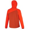 Bright orange rust - Bright orange rust