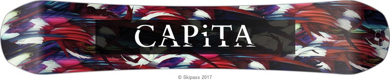 Capita Birds of a feather