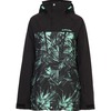 wintergreenfern - wintergreenfern