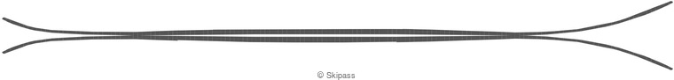 DPS Wailer 112 RP 2.0 Tour 1