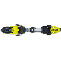 Fischer Rc4 Z17 Freeflex ST