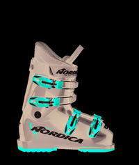 Nordica Dobermann GP 60