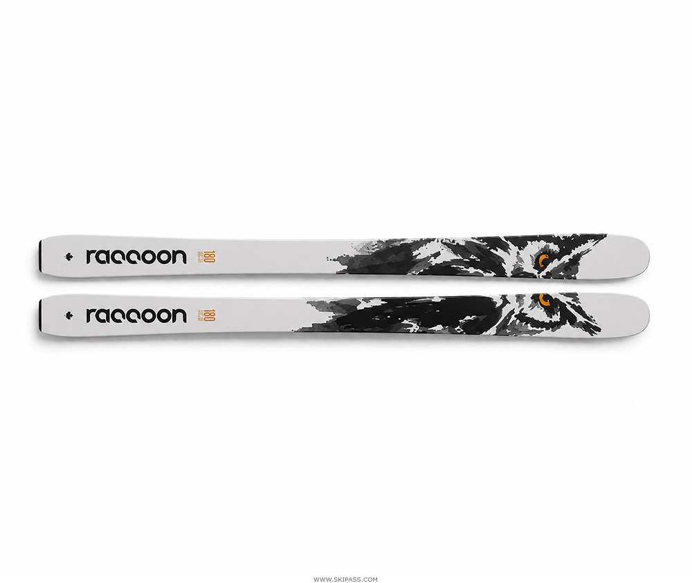 Raccoon Grand Duc