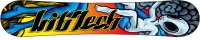 Lib Tech Phoenix Blonde Phoenix Blonde 2009