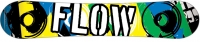 Flow Team Micron Team Micron 2010