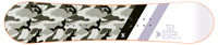Forum The Scout