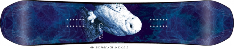 Capita Birds of a Feather fk 144