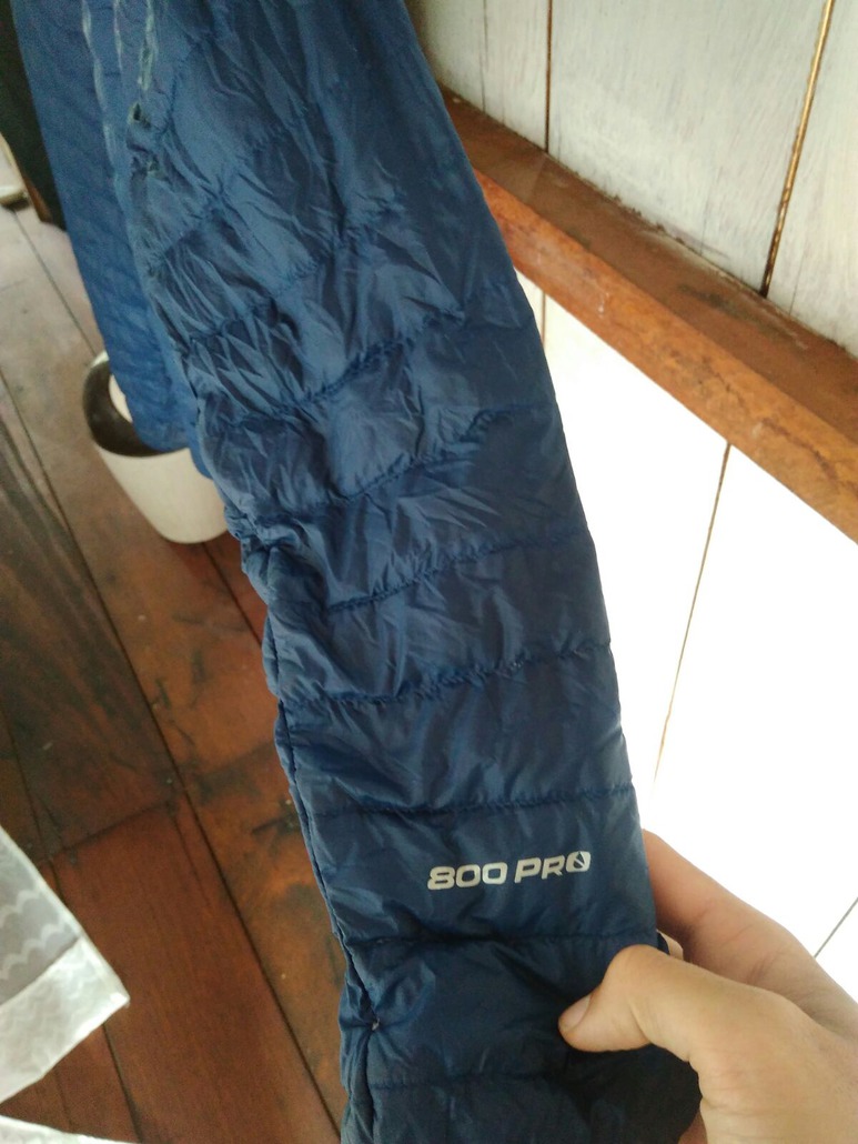 The North Face Morph down jacket