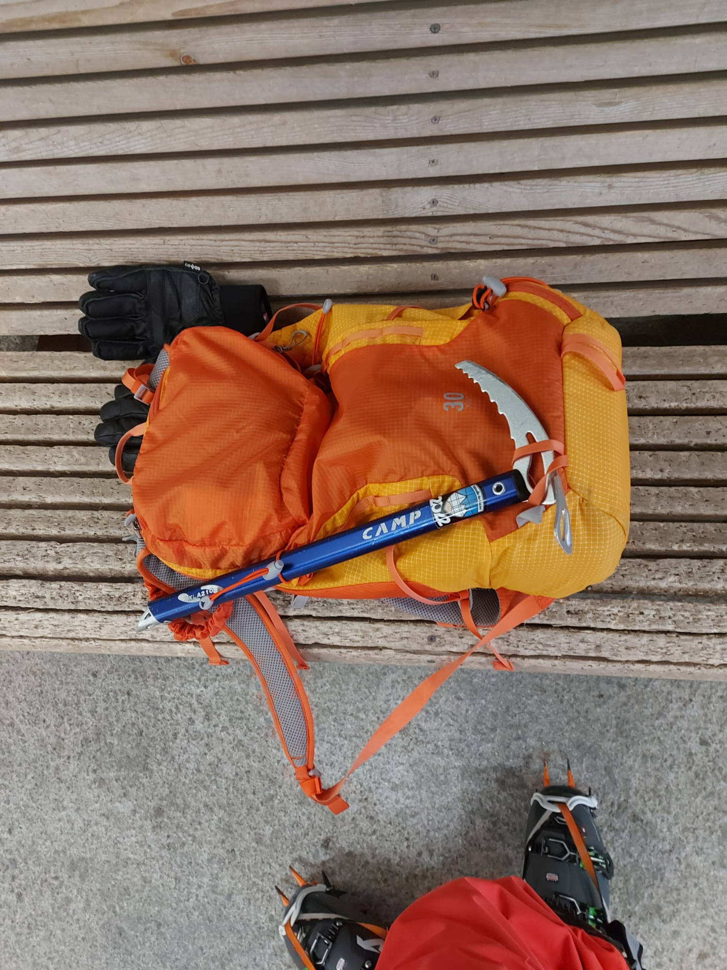 Salomon X Alp 30L