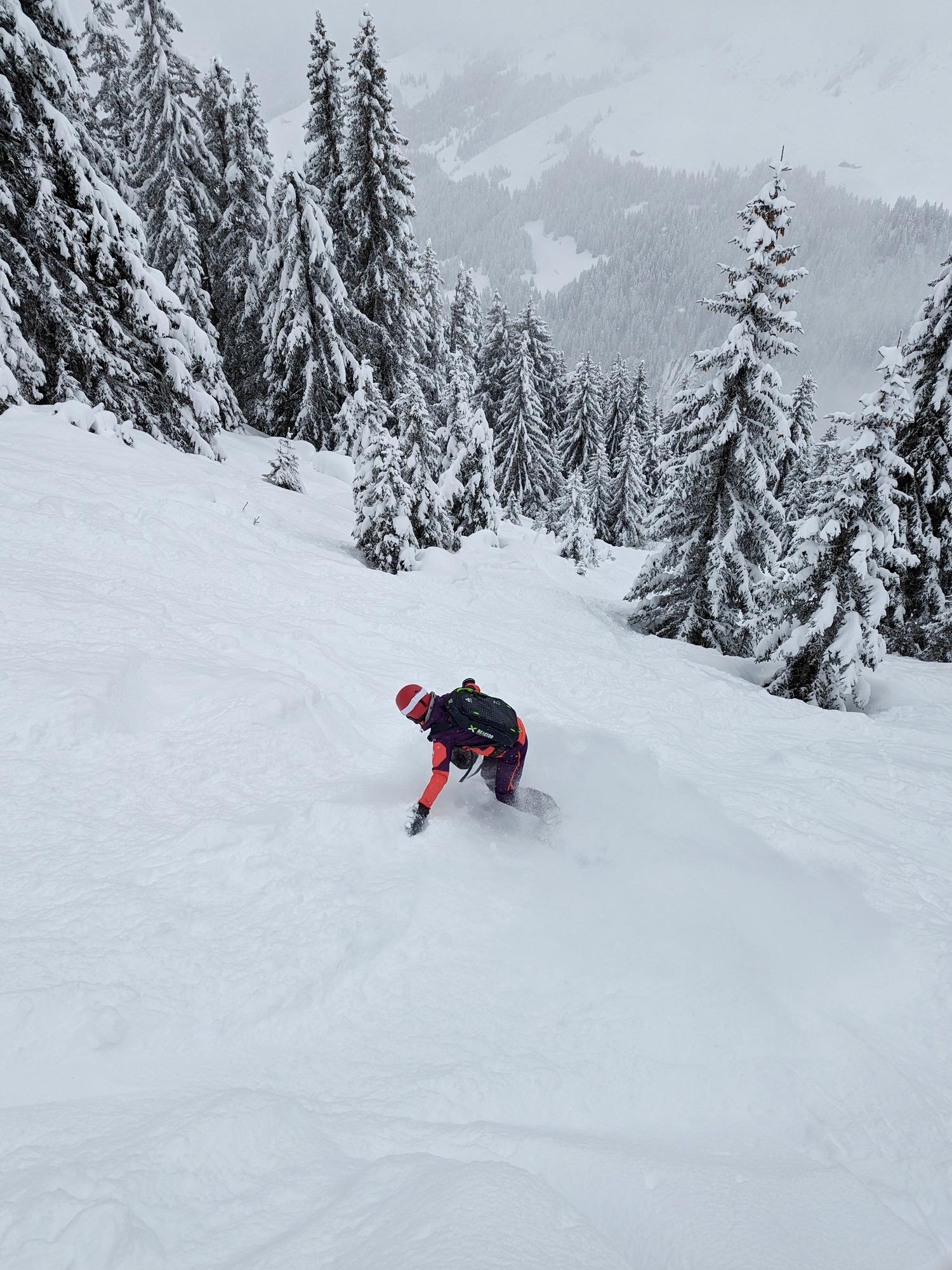 Jones Snowboards Twin Sister