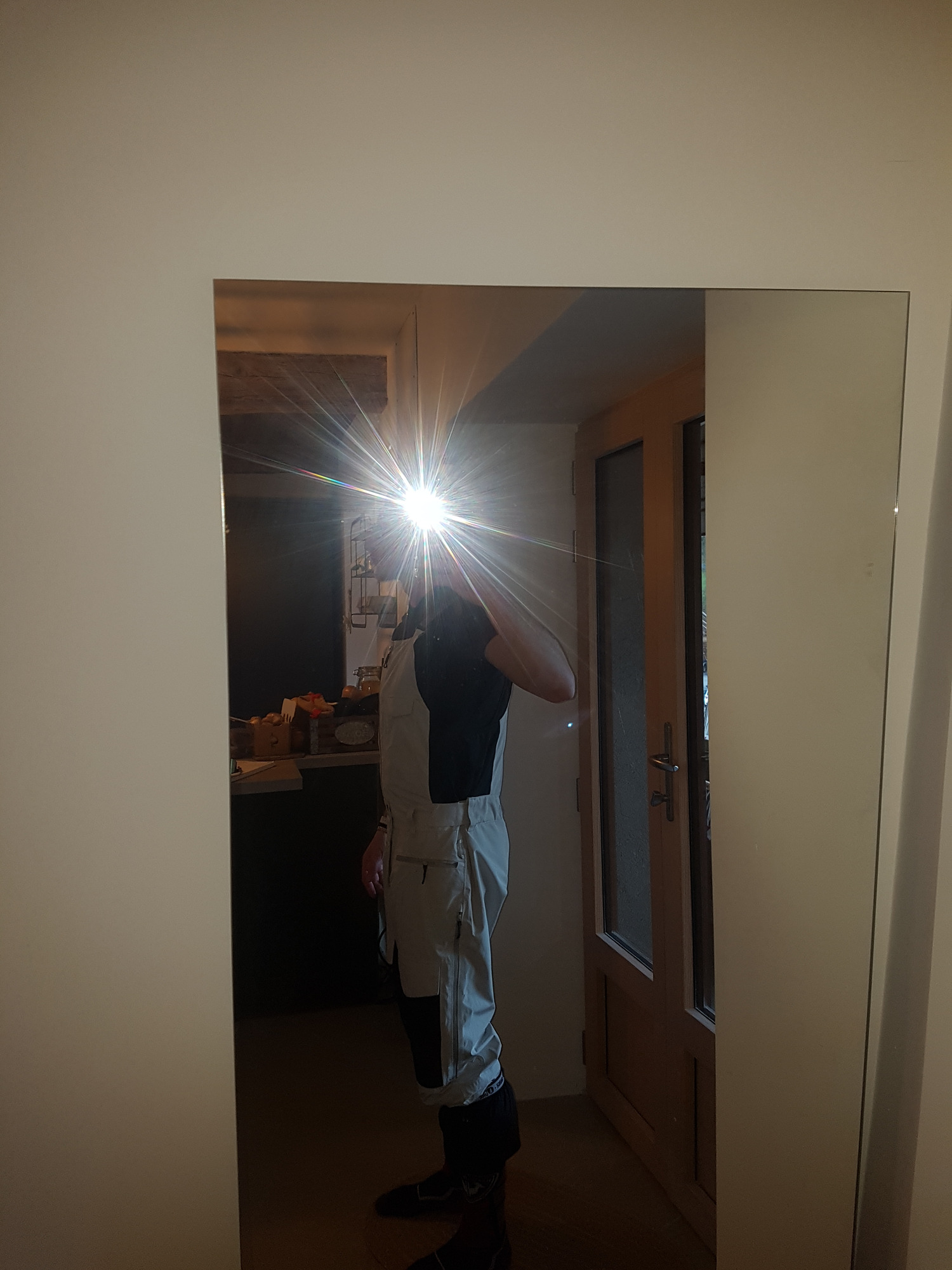Picture Organic Clothing U66 bib pant's