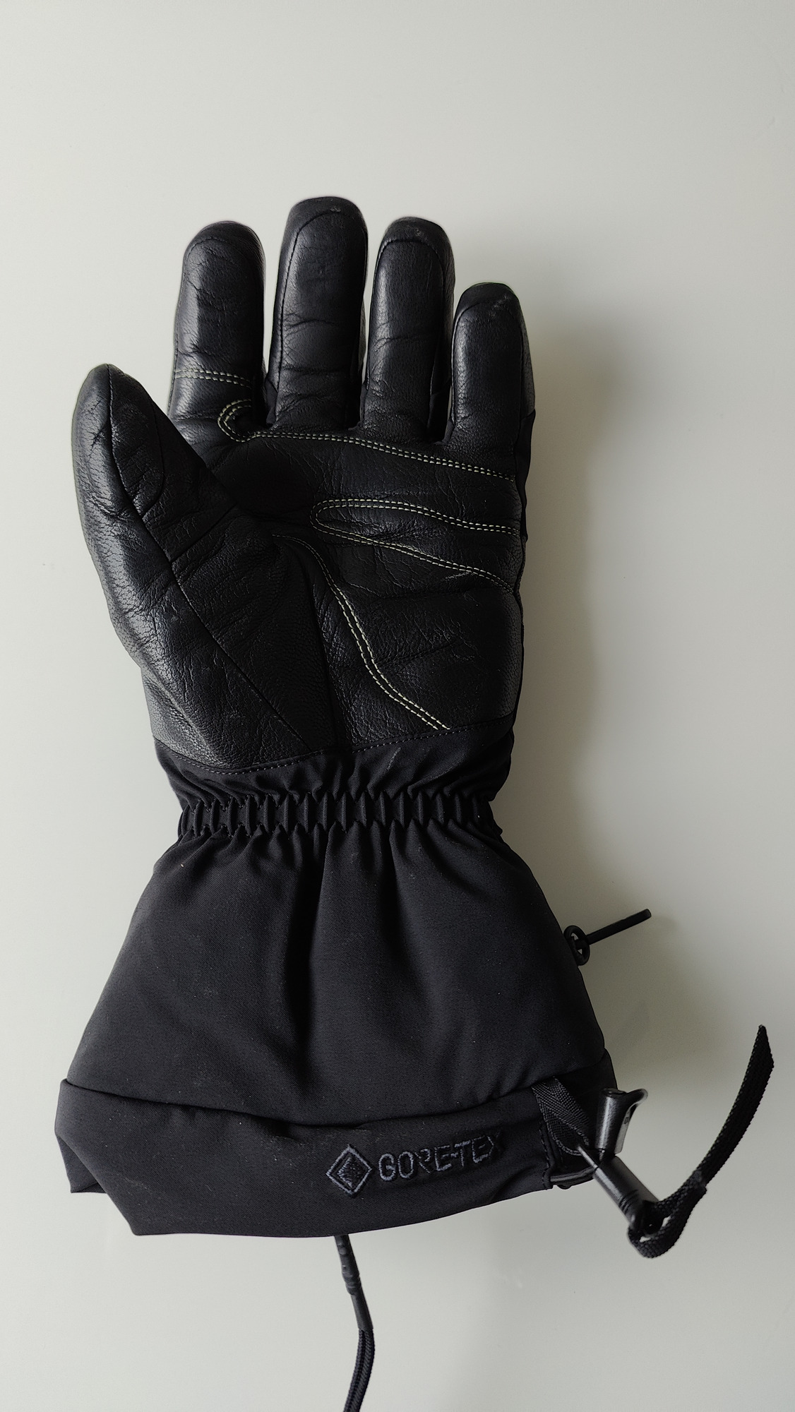 Arcteryx Fission SV glove