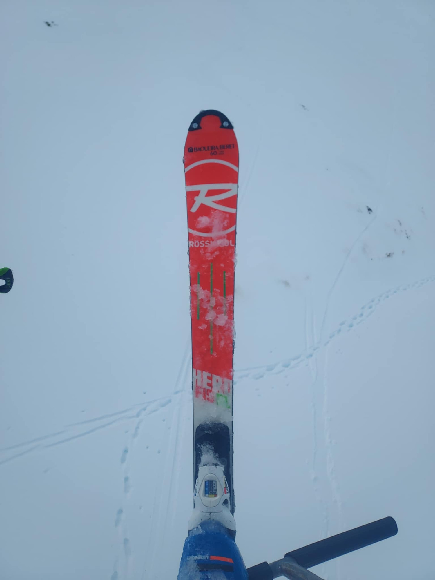 Rossignol Hero FIS SL (R21WC)