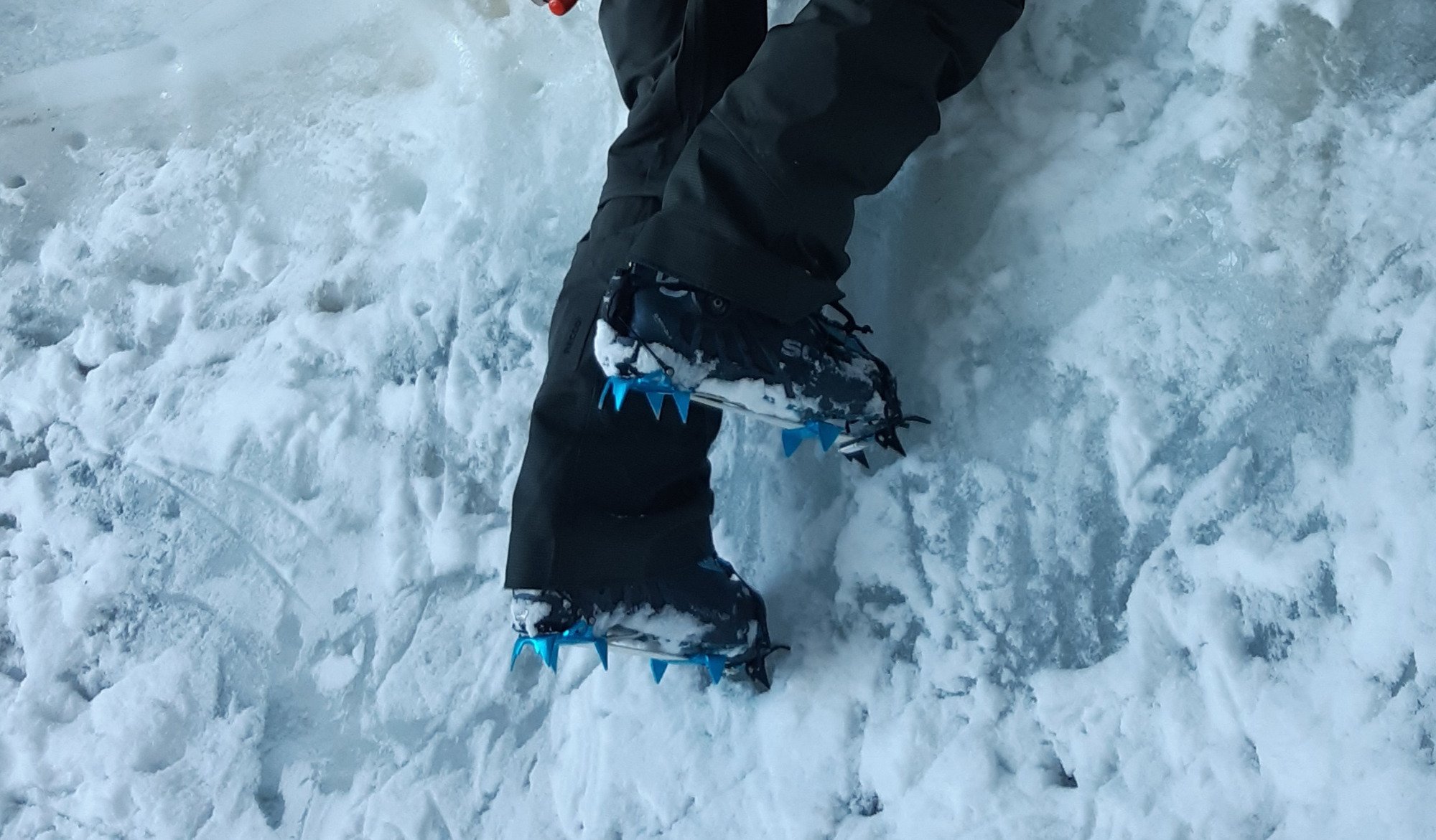 Blue Ice Harfang