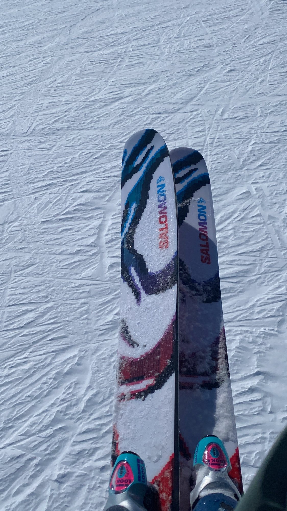 Salomon qst blank